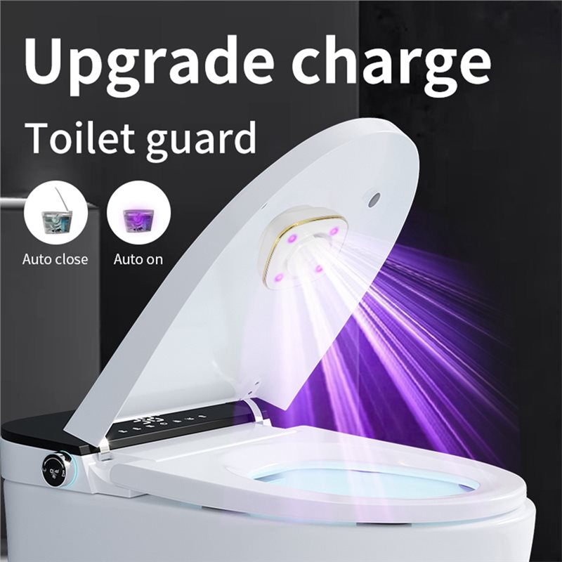 Nettoyeur de toilettes mural i - Smart Home Features avis et prix
