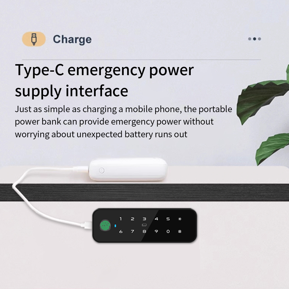 Tuya – armoire intelligente en - Smart Door Lock avis et prix
