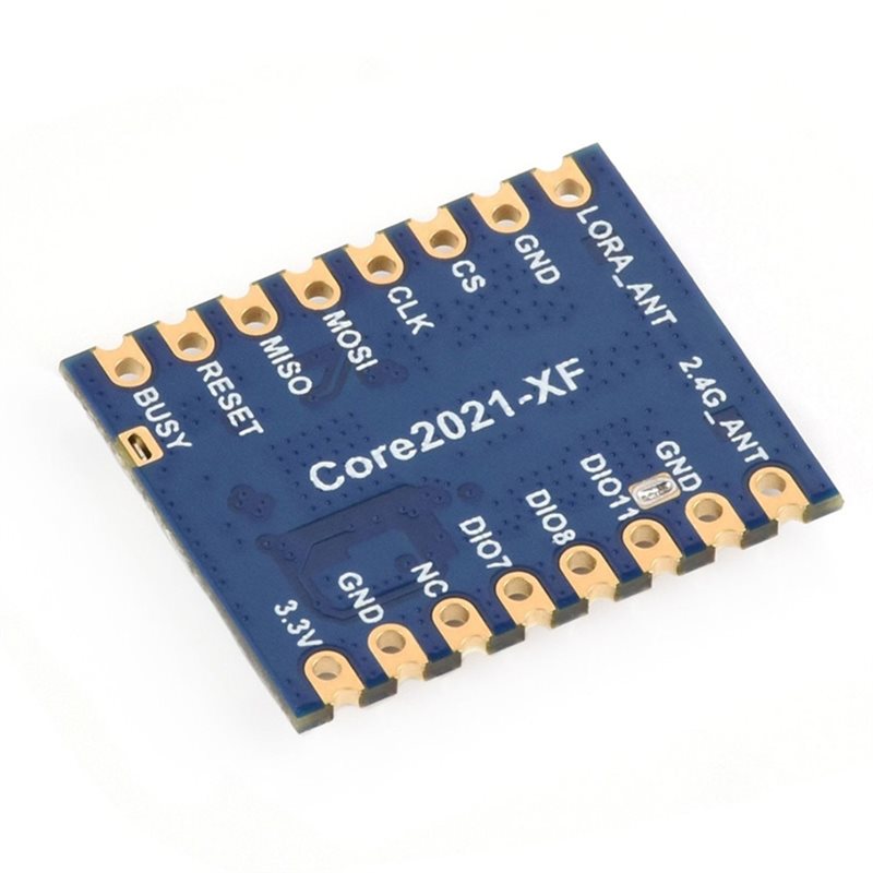 Module double bande Lorawan Lo - Smart Home Ir avis et prix
