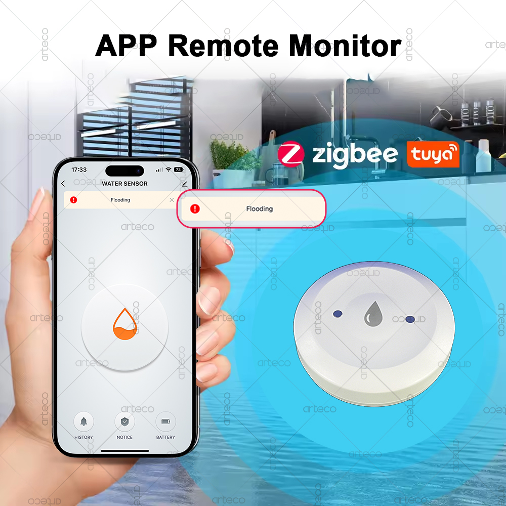 Tuya – capteur d'eau intellige - Smart Home Features avis et prix