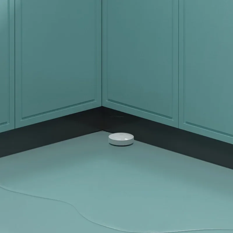 Détecteur de fuite d'eau intel - Smart Home Dan avis et prix