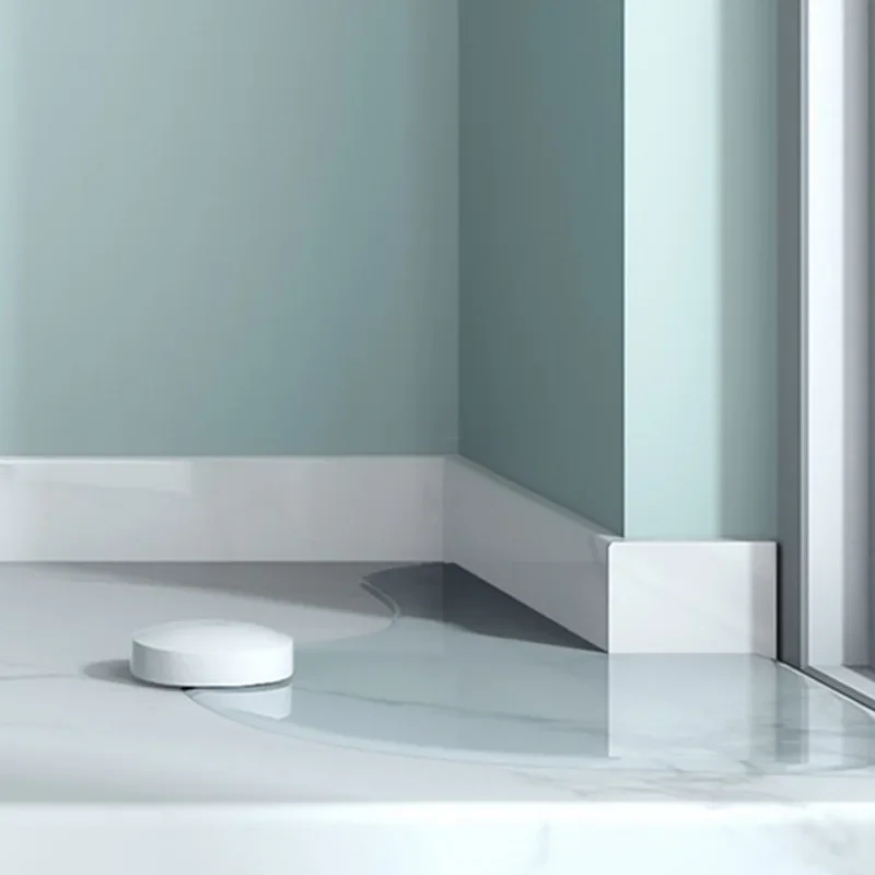 Détecteur de fuite d'eau intel - Smart Home Dan avis et prix
